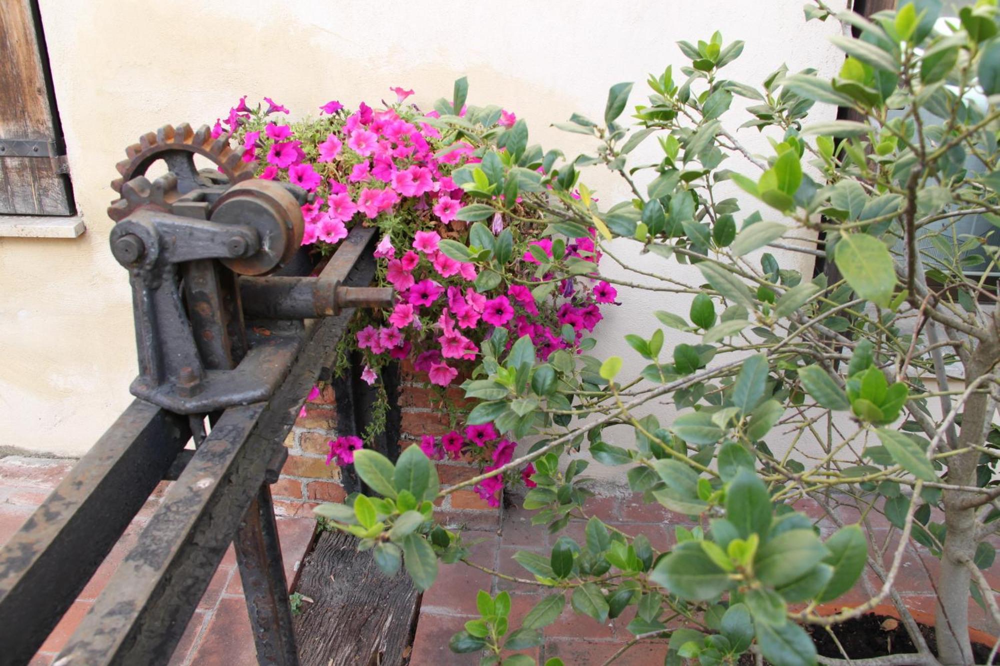 Hotel La Vecchia Cartiera à Colle Val D'Elsa Extérieur photo
